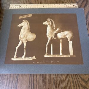 Vintage Horse & Mounted Youth Rider Greek Sculpture Photo Acropolis Museum